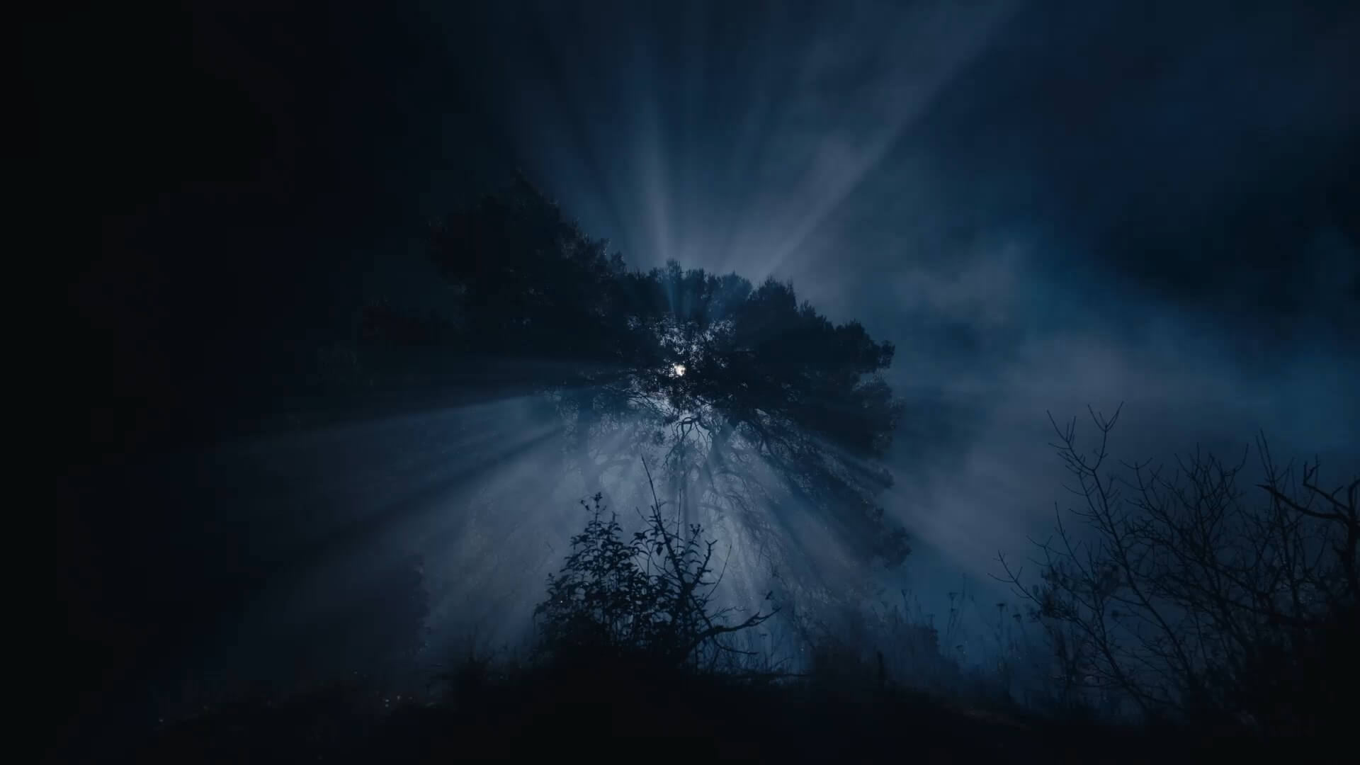 Chamaeleon Digital Vison GmbH