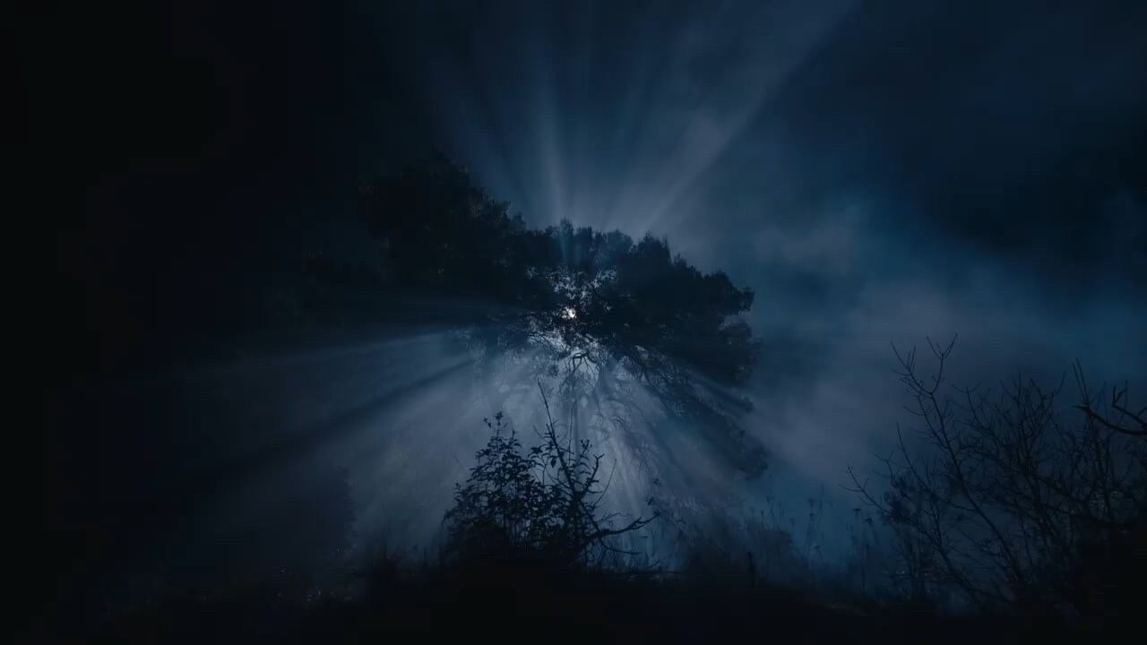 Chamaeleon Digital Vison GmbH