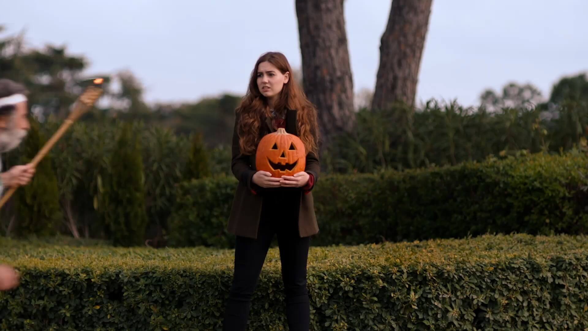 Chamaeleon Digital Vison GmbH