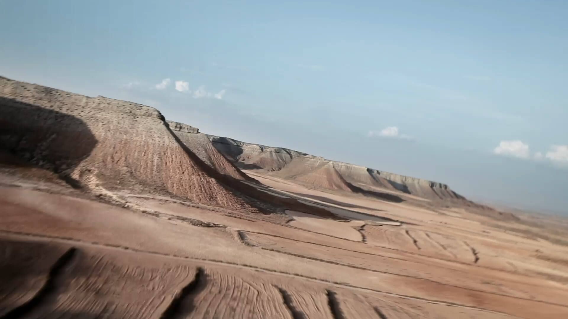 Chamaeleon Digital Vison GmbH