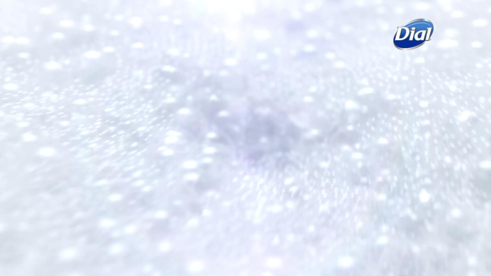 Chamaeleon Digital Vison GmbH