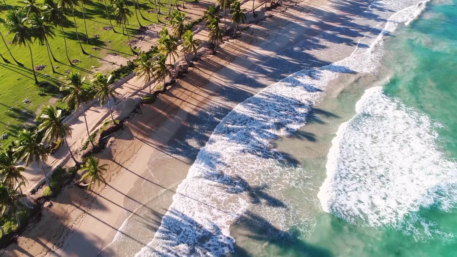 Chamaeleon Digital Vison GmbH